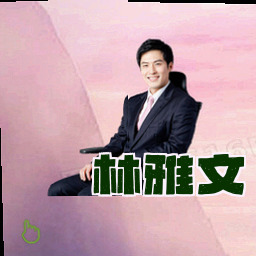 林雅文